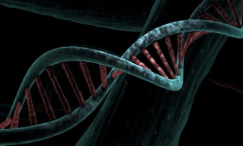 dna-6517209_1920